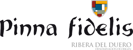 Pinna Fidelis